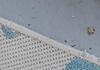 Ants Hide Under Outdoor Rug in Tuckerton, NJ - Photo 1