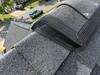 Bats Get In Via the Ridge Vents in Rumson, NJ - Photo 1