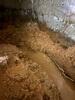 Crawl Space Encapsulation and Waterproofing in Newport Coast, CA - Photo 3