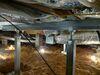 SmartJack Floor Support in Charleston, WV - Photo 1
