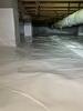 Excess Moisture Eliminated Olar, SC - Photo 1