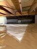 Total Crawl Space Transformation Norway, SC - Photo 1