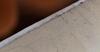 Bed Bugs Came with the Visitor in Hillsborough, NJ - Photo 1
