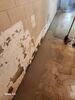 Basement Water Seepage Repair & Sump Pump Installation in Wisconsin Rapids, WI - Photo 3