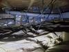 Damp Crawl Space Vapor Barrier and Insulation Installation in Wisconsin Rapids, WI - Photo 1