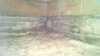 Wet Crawl Space Moisture Control & Insulation in Antigo, WI - Photo 1