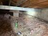 Damp Crawlspace Turned Dry in Walker, IA - Photo 1