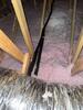 Another home made comfortable with Attic Insulation in Phoenix, Arizona - Photo 2