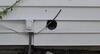 Rats in the Yard & in the House in Sea Girt, NJ - Photo 2