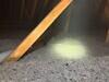 Preventing Mold Growth in Broadview Heights, OH - Photo 1