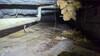Crawl Space Encapsulation in Paducah, KY - Photo 10