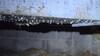 Crawl Space Encapsulation in Paducah, KY - Photo 7