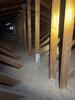 A Complete Attic Insulation Upgrade in Sun City AZ - Photo 1