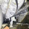 Cold Floors and Crawl Space Issues in Rumson, NJ - Photo 4