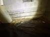 Crawl Space Encapsulation in Scottsville, KY - Photo 3