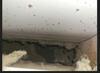 Whole-Home Duct Cleaning & Sanitizing in State College PA - Photo 4