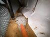 Crawl Space Encapsulation in Greenville, KY - Photo 9