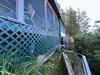Strengthening a Camp with SmartJacks in Gilford, NH | Matt Clark's Northern Basement Systems - Photo 5