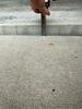 Unleveled Concrete in Belleville, Illinois - Photo 1