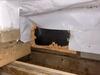 Crawl Space Encapsulation in Nortonville, KY - Photo 1