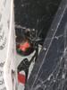 Black Widow Hanging Out in Rodent Bait Station in Hazlet, NJ - Photo 2