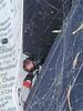 Black Widow Hanging Out in Rodent Bait Station in Hazlet, NJ - Photo 1