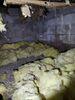 Damp Crawl Space Encapsulated with CleanSpace in Appleton, WI - Photo 1