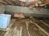 Crawl Space Encapsulation and Bowing Wall Repair in Appleton, WI - Photo 2