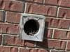 Starlings Clogged Up Multiple Exhaust Vent in Asbury Park, NJ - Photo 1