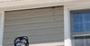 Carpenter Bees Under Eaves of Home in Port Reading, NJ - Photo 1