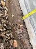 Foundation Support in Leslie, Missouri - Photo 2