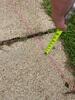Why You Need Joint Sealant for Your Concrete - Photo 1
