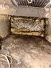 Mold Remediation in Fort Worth, TX - Photo 1
