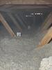 Attic Insulation and Ductwork Upgrade in Scottsdale, AZ - Photo 2