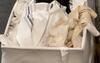 Pile of Rags Contribute to Fruit Fly Infestation in West Windsor, NJ - Photo 1