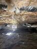 Mold Remediation in Scottsville, KY - Photo 9