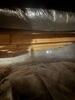 Mold Remediation in Scottsville, KY - Photo 2