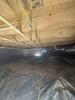 Mold Remediation in Scottsville, KY - Photo 1