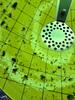 Fly Light Will Control the Flies in Forked River, NJ - Photo 2