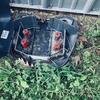Garter Snake Found Inside Rodent Bait Station in Belford, NJ - Photo 1