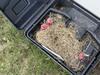 Rodents Start to Nest in Bait Station in Avenel, NJ - Photo 1