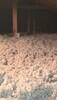 Tru-Soft Blown-In Insulation Install in Parma, OH - Photo 1