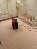 Mold Remediation in Dallas, TX - Photo 3