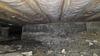 Mold Remediation in Dallas, TX - Photo 1