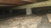 Crawlspace & Dehumidifier in Dallas, TX - Photo 1