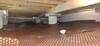 Crawlspace Encapsulation & Mold Remediation in Dallas, TX - Photo 7