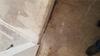 Quoting a Foundation Issue in Acton - Photo 1