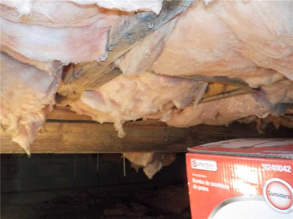 Moldy Cottage Crawl Space in Stanwood, MI Mold Infesting Fiberglass