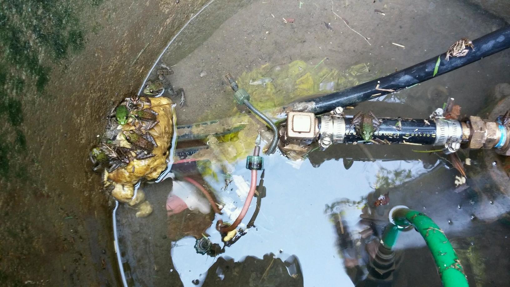 Eastern Water Solutions Well Pump Systems Casing Extension in