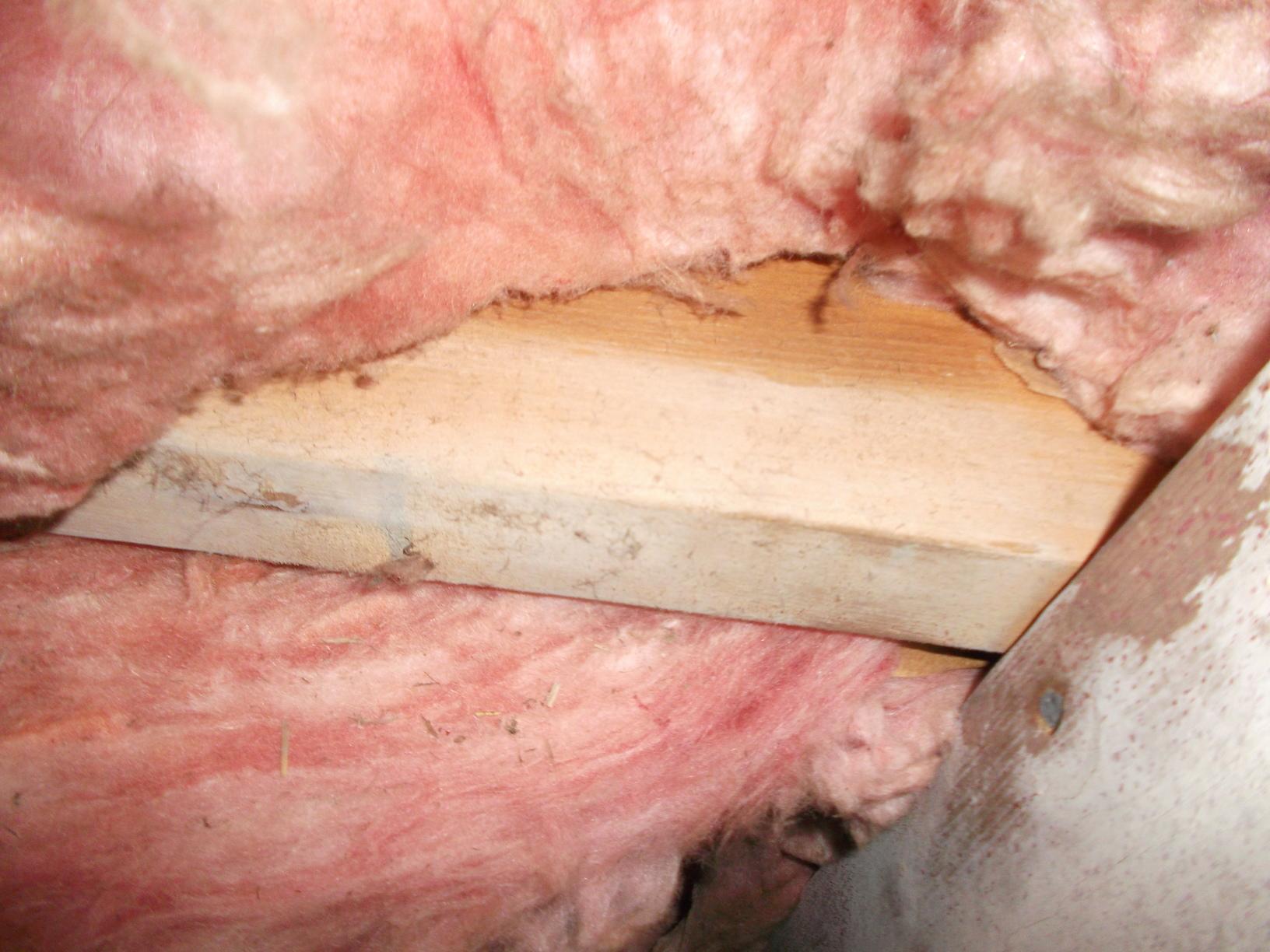 Crawl Space Repair Goshen, NJ Nasty Crawl Space Closeup of Mold